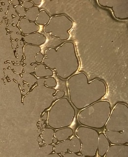 Glasprojecties
